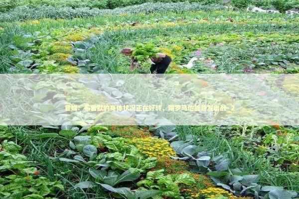 意媒:布雷默的身体状况正在好转,踢罗马他能首发出战_2 意媒:布雷默的身体状况正在好转,踢罗马他能首发出战_2 新闻