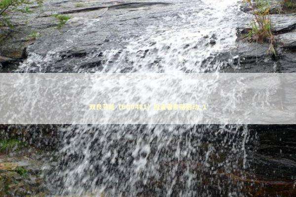 双良节能（600481）投资者索赔启动_1