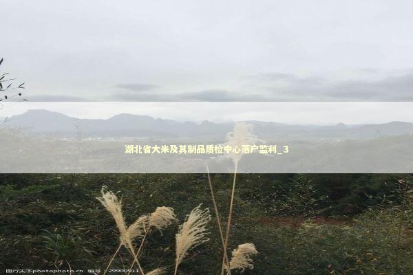 湖北省大米及其制品质检中心落户监利_3 湖北省大米及其制品质检中心落户监利_3 新闻