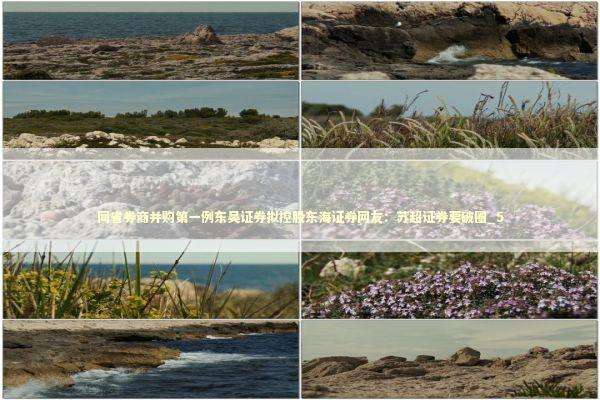 同省券商并购第一例东吴证券拟控股东海证券网友：苏超证券要破圈_5