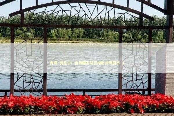 吉姆·奥尼尔：金砖国家能否推出共同货币_1