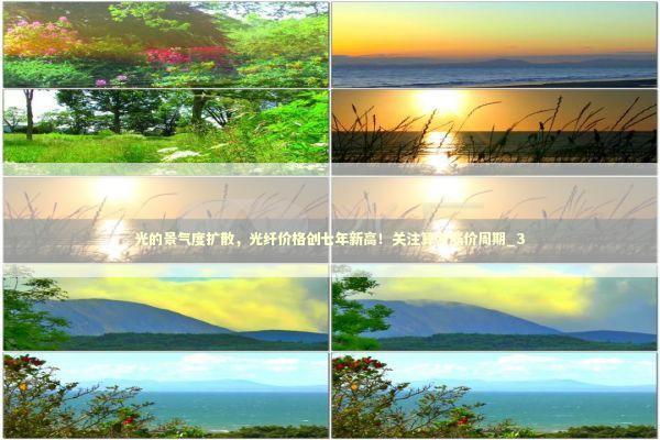 光的景气度扩散，光纤价格创七年新高！关注算力涨价周期_3