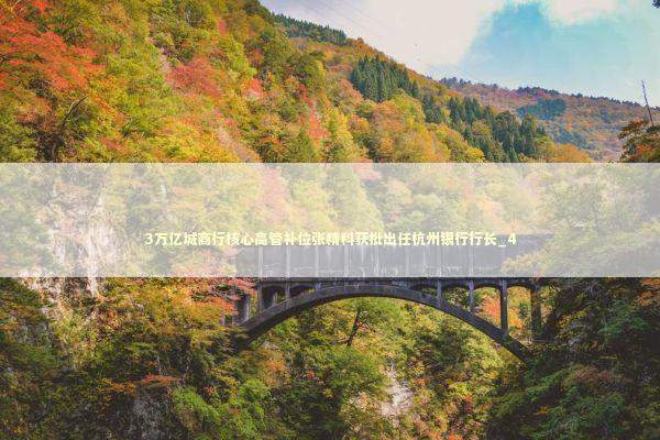 3万亿城商行核心高管补位张精科获批出任杭州银行行长_4 3万亿城商行核心高管补位张精科获批出任杭州银行行长_4 新闻