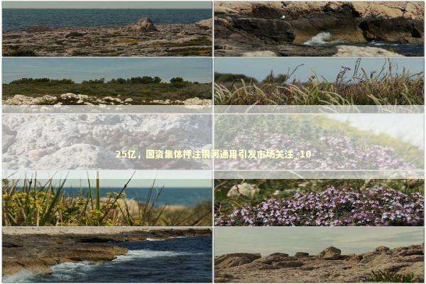 25亿，国资集体押注银河通用引发市场关注_10