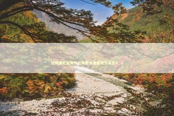 远期售汇业务外汇风险准备金率下调至0_3 远期售汇业务外汇风险准备金率下调至0_3 新闻