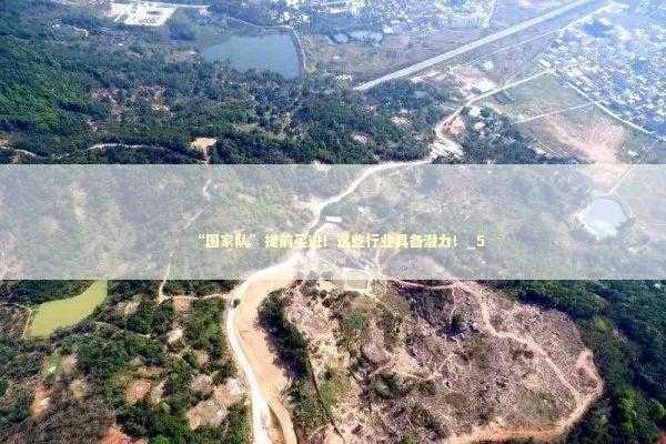 “国家队”提前买进!这些行业具备潜力!_5 “国家队”提前买进!这些行业具备潜力!_5 新闻