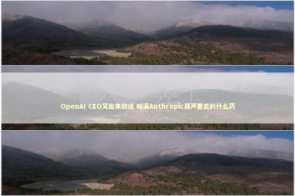 OpenAI CEO又出来放话 暗讽Anthropic葫芦里卖的什么药