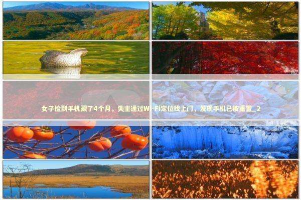 女子捡到手机藏了4个月，失主通过Wi-Fi定位找上门，发现手机已被重置_2 新闻