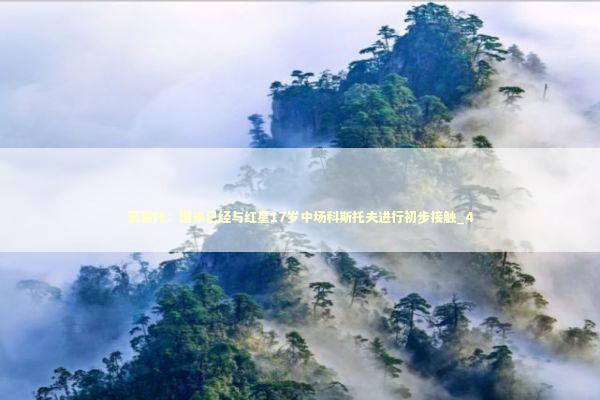 莫雷托:国米已经与红星17岁中场科斯托夫进行初步接触_4 莫雷托:国米已经与红星17岁中场科斯托夫进行初步接触_4 新闻