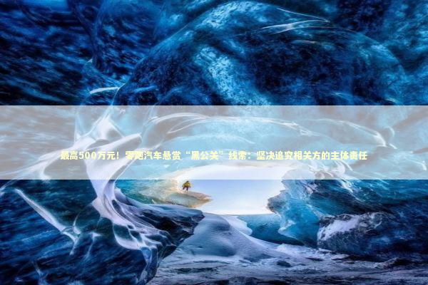 最高500万元！零跑汽车悬赏“黑公关”线索：坚决追究相关方的主体责任 新闻