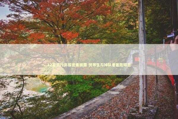 12家银行年报密集披露 优等生与掉队者差距明显