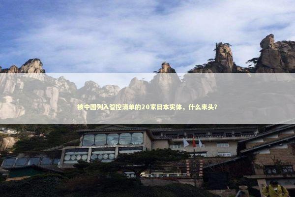 被中国列入管控清单的20家日本实体,什么来头? 被中国列入管控清单的20家日本实体,什么来头? 新闻