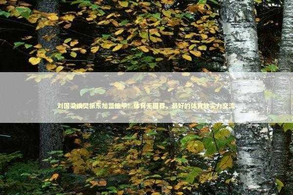 刘国梁谈樊振东加盟德甲：体育无国界，最好的体育软实力交流